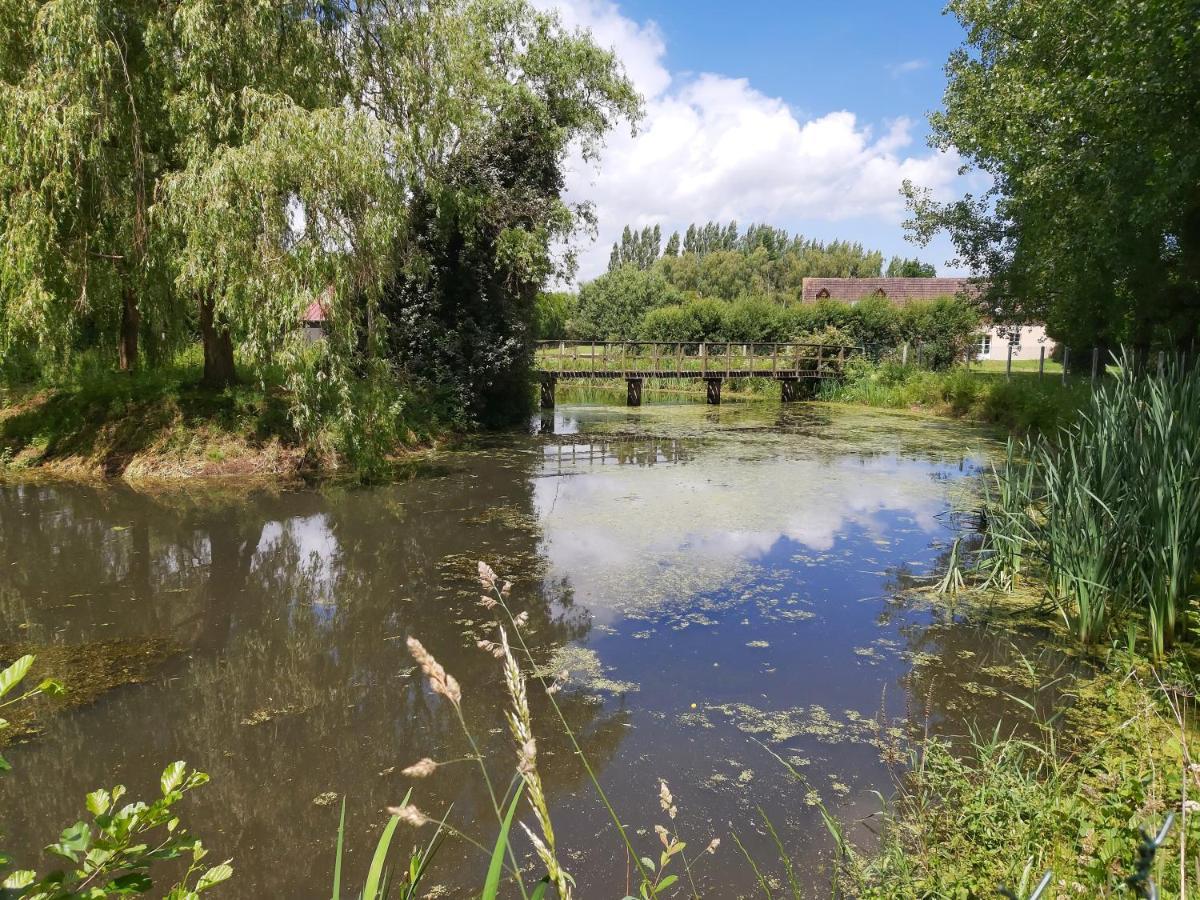 Le Bonheur Des Plumes Bed & Breakfast Montmartin-en-Graignes Exterior foto
